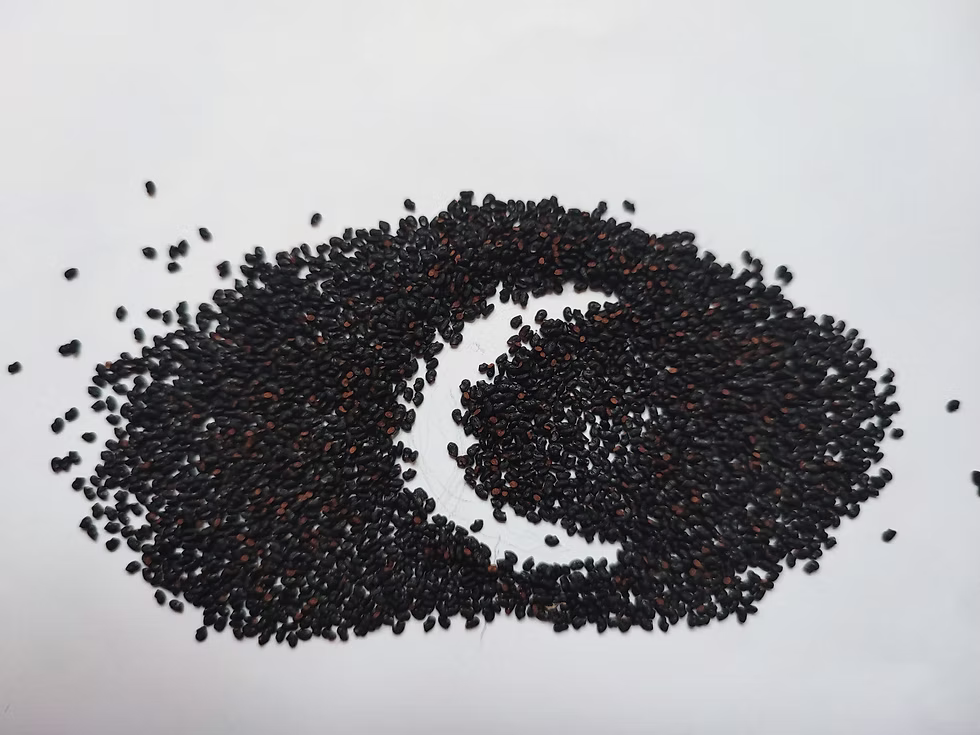 Cactus Seeds