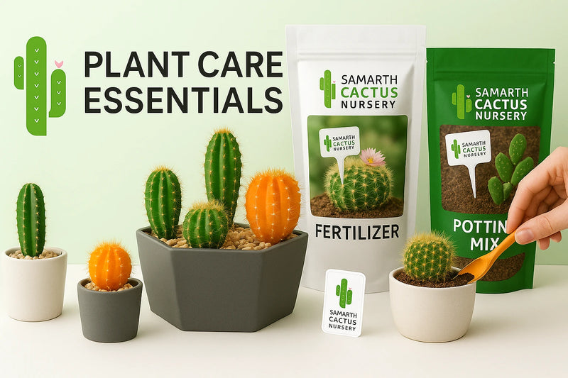 Plants Care Products