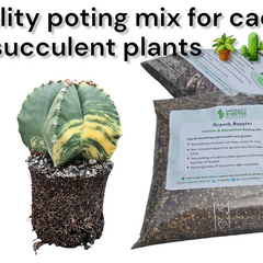 Cactus and succulent poting mix