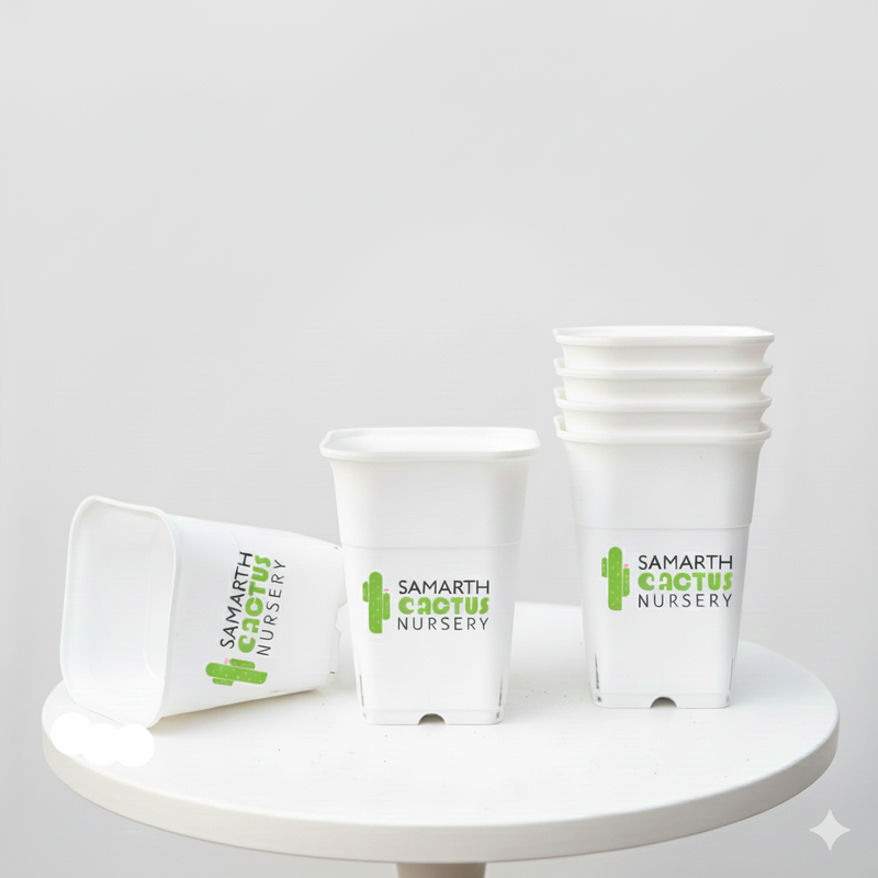 Set of - 5.5inch White Pots