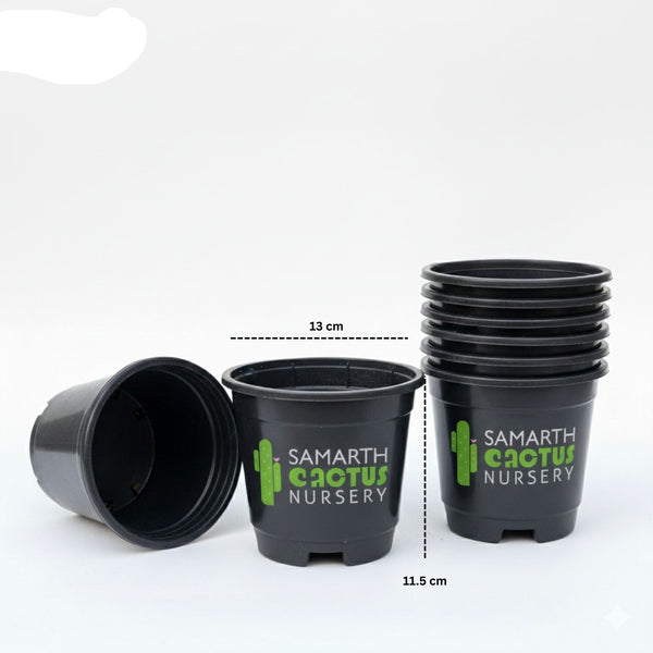 Set Of - 5inch Black Pots