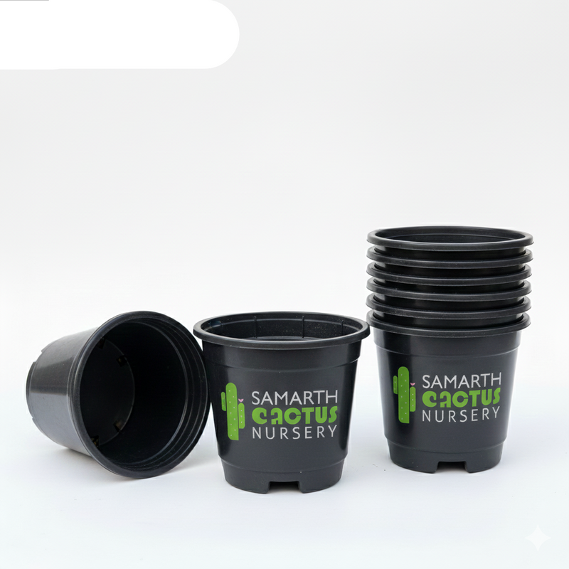 Set Of - 5inch Black Pots
