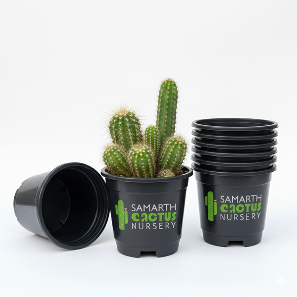 Set Of - 5inch Black Pots