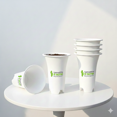 Set Of - 6 inch Big White Pots