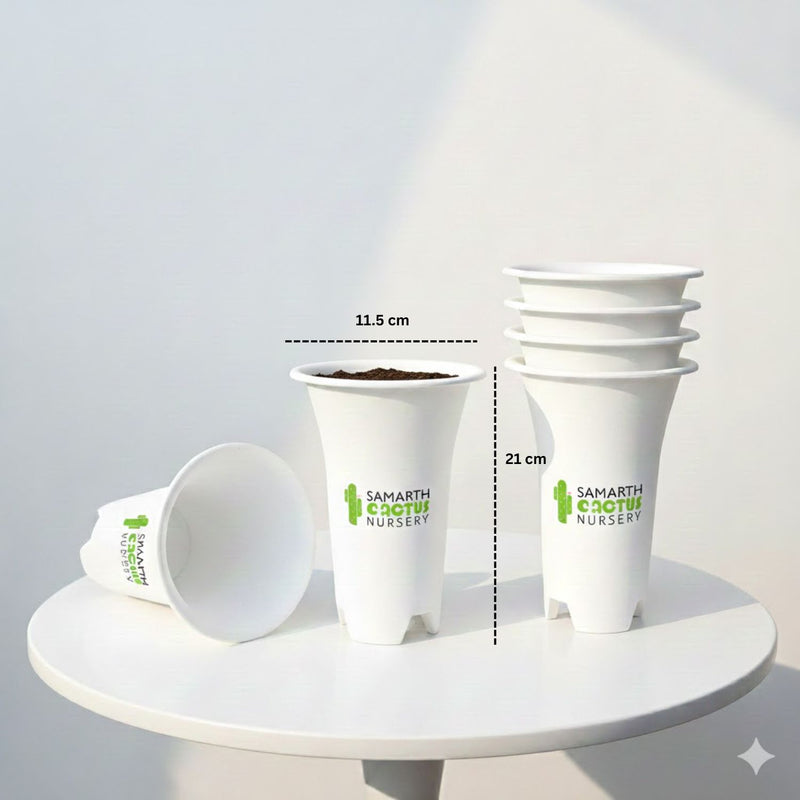 Set Of - 6 inch Big White Pots