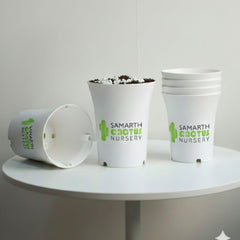 Set Of 12 - 6inch White Pot