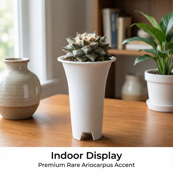 Ariocarpus reduces var confusus