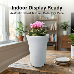 Ariocarpus trigonus v. confusus A.13