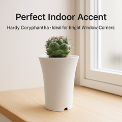 coryphantha greenwood