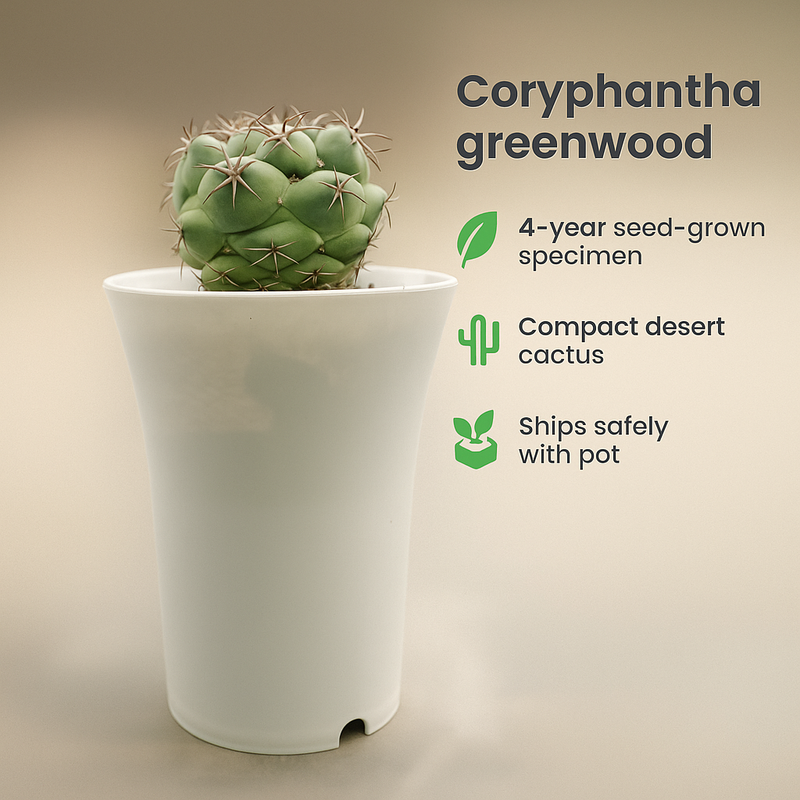 coryphantha greenwood