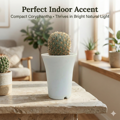 Coryphantha kracikii R.771