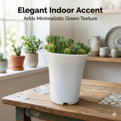 Euphorbia inconstancia