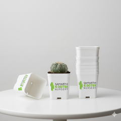 Set Of 12 - 3 inch White Pots