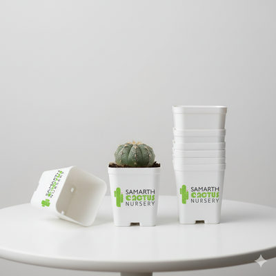 Set Of 12 - 3 inch White Pots