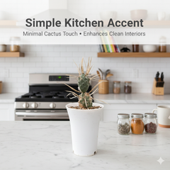 Tephrocactus articulatus var. papyracanthus