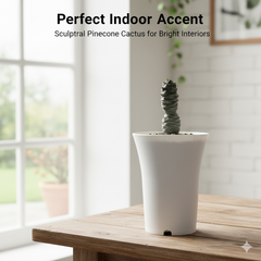 Tephrocactus articulatus var strobiliformis