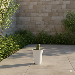 Tephrocactus geometricus