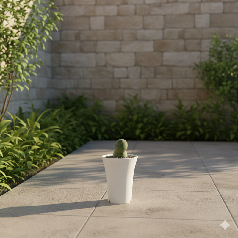 Tephrocactus geometricus