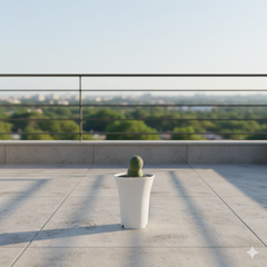 Tephrocactus geometricus