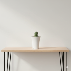 Tephrocactus geometricus