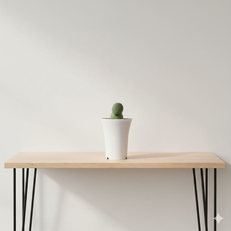 Tephrocactus geometricus