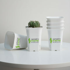 Set Of 12-3.5inch White Tall square Pot