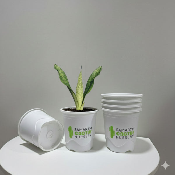 Set Of 3 - 7.5inch  White Pots